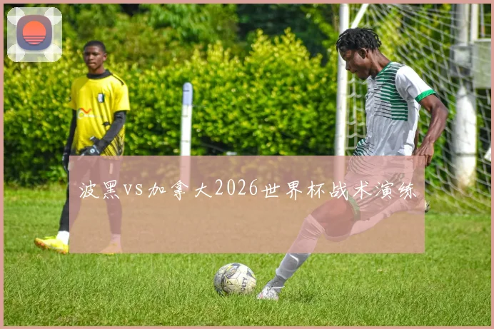 波黑vs加拿大2026世界杯战术演练