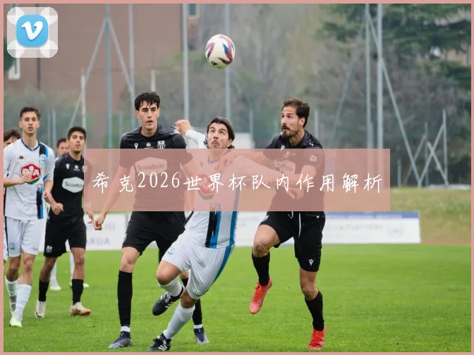 希克2026世界杯队内作用解析